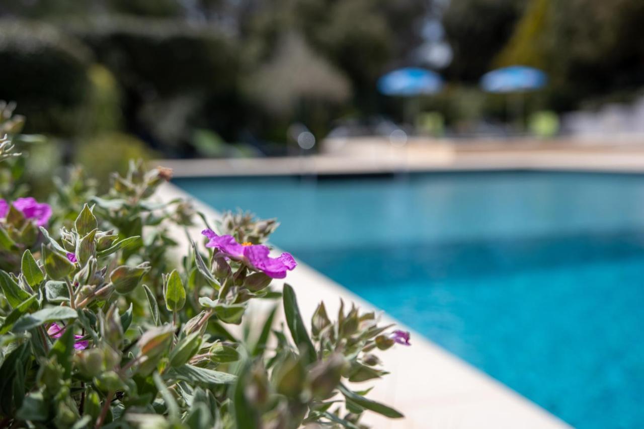 Les Arbousiers Village Hotel Provencal La Roquebrussanne Bagian luar foto
